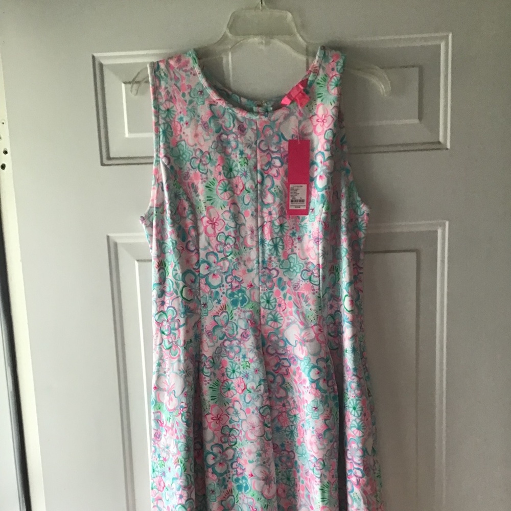 Lilly Pulitzer Kinsey Dress in XL